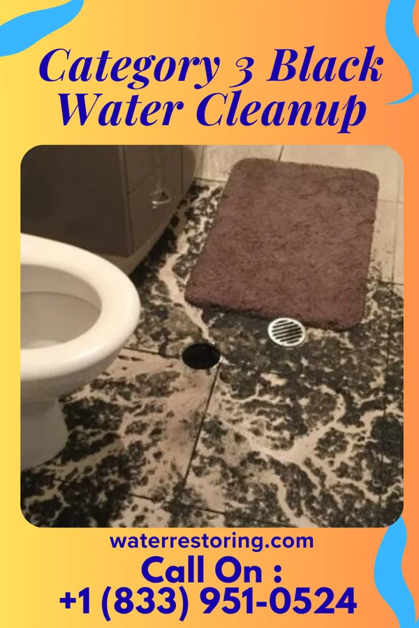 Category 3 Black Water Cleanup in Ridgecrest, FL