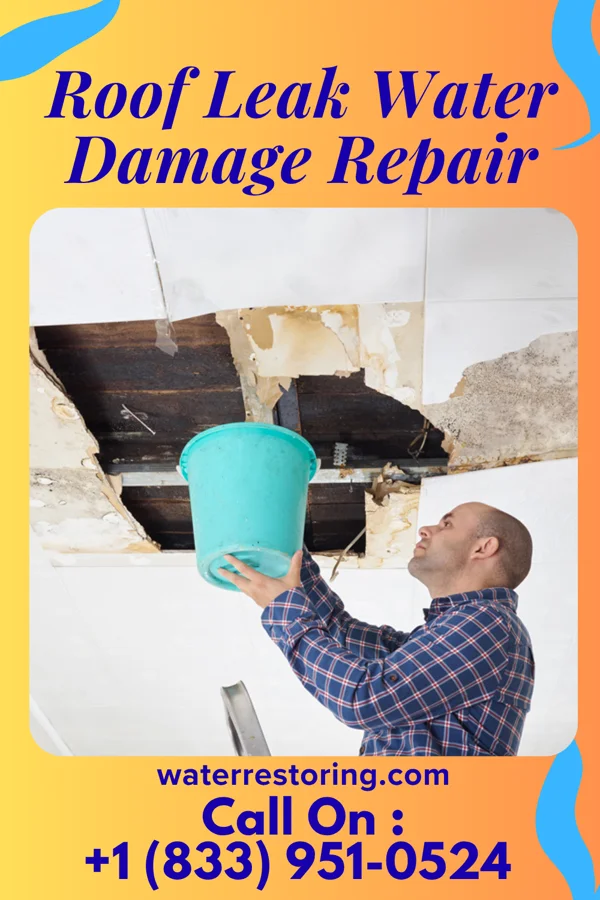 Roof Leak Water Damage Repair in Ridgecrest, FL
